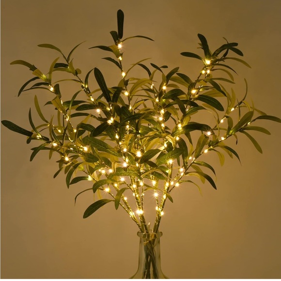 Anthropologie Other - Terrain LED Lit Stargazer Olive Branches from Anthropologie